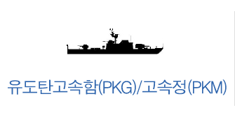 유도탄고속함(PKG)/고속정(PKM)